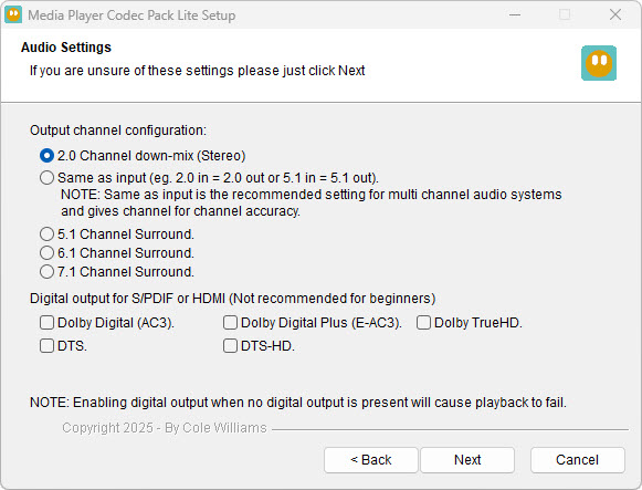 Media Player Codec Pack audio settings screen