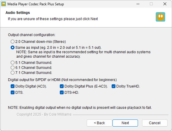 Media Player Codec Pack audio settings screen
